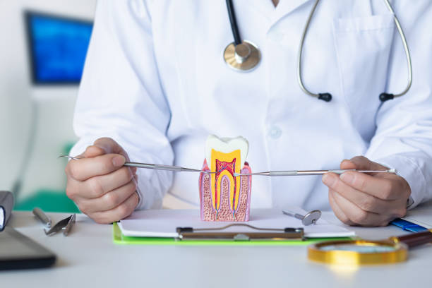 Best Emergency Orthodontic Repairs in Sachse, TX